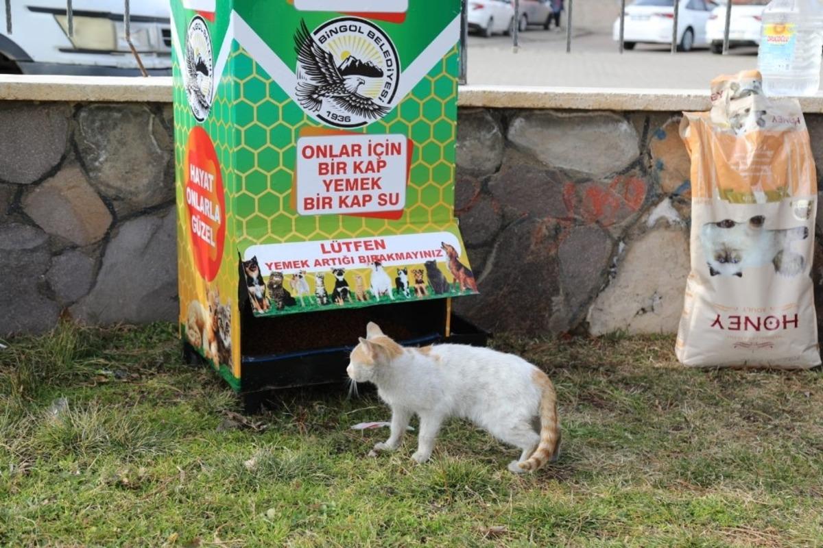 Bing&ouml;l&rsquo;de  12 noktaya mamamatik yerleştirildi