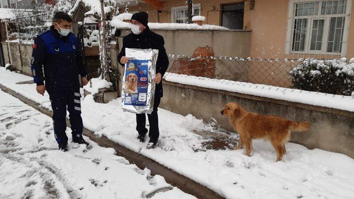 Başkan Yüksel sokak hayvanlarını elleri ile besledi G3