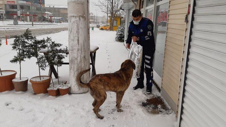Başkan Yüksel sokak hayvanlarını elleri ile besledi G4