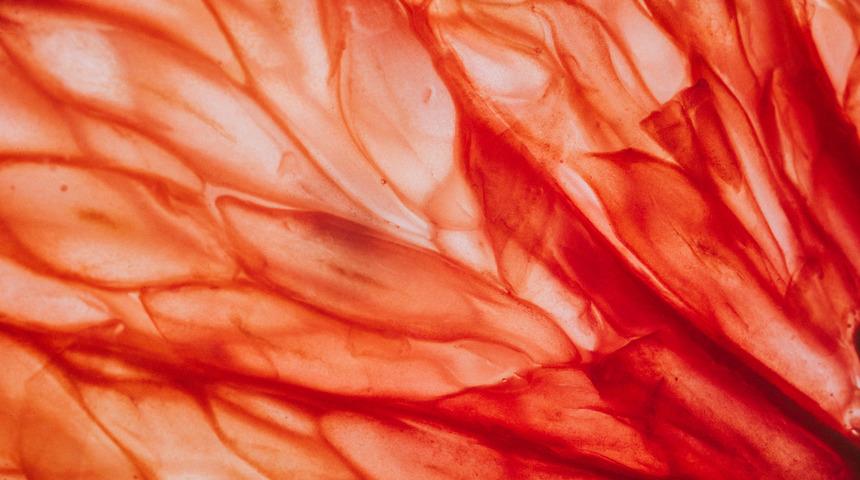 Greyfurtun faydaları saymakla bitmiyor ama... İlaç kullanırken dikkat!