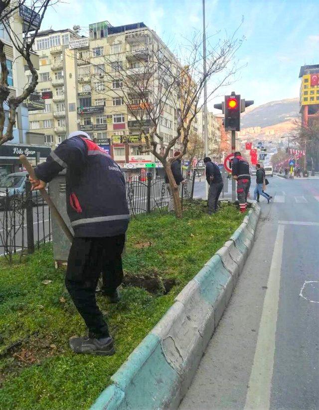 Yeşil alanların bakımları yapılıyor