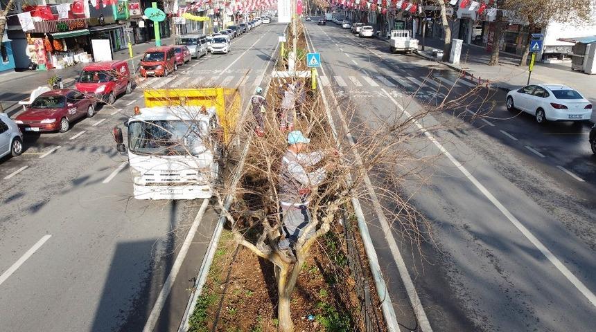 Yeşil alanların bakımları yapılıyor