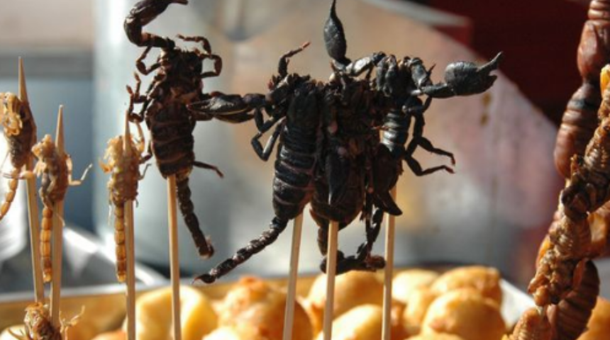 Kızarmış akrepten salyangoza! Dünyanın farklı bölgelerindeki sokak lezzetleri