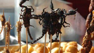 Kızarmış akrepten salyangoza! Dünyanın farklı bölgelerindeki sokak lezzetleri