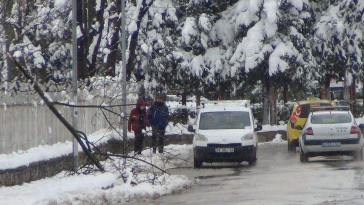 Kar yağışına dayanamayan ağaçlar kırıldı G3