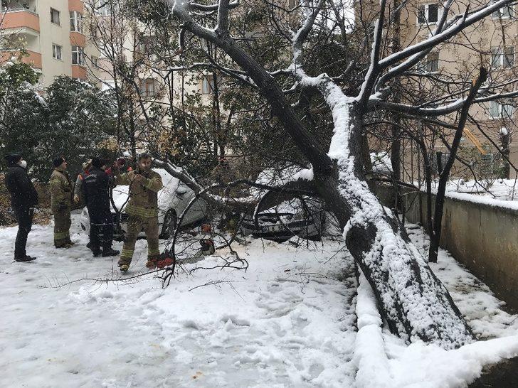 (Özel) Ataşehir’de 30 yıllık tesbih ağacı park halindeki otomobillerin üzerine devrildi G1