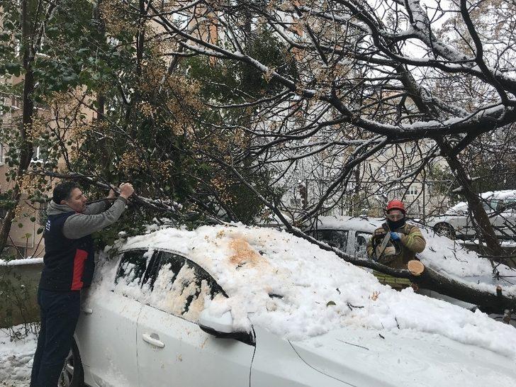 (Özel) Ataşehir’de 30 yıllık tesbih ağacı park halindeki otomobillerin üzerine devrildi G2