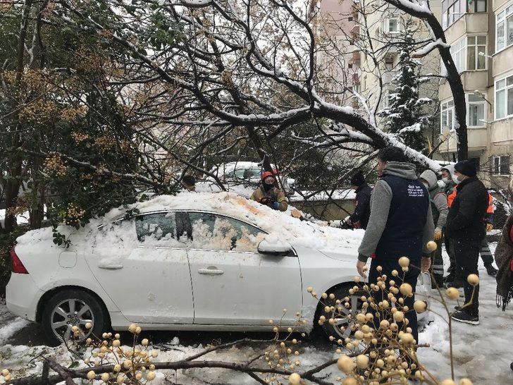 (Özel) Ataşehir’de 30 yıllık tesbih ağacı park halindeki otomobillerin üzerine devrildi G3