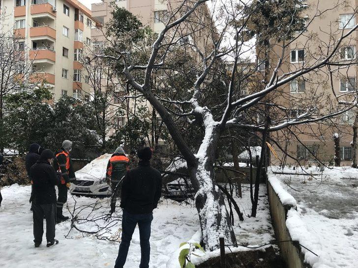 (Özel) Ataşehir’de 30 yıllık tesbih ağacı park halindeki otomobillerin üzerine devrildi G4