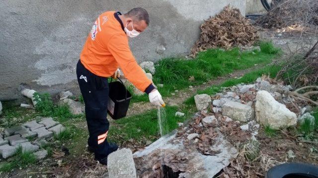 Tarsus’ta zararlılara karşı kış aylarında da mücadele