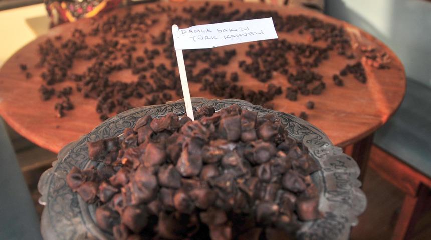 İzmirli işletmeciden damla sakızlı kahveli mantı tarifi!