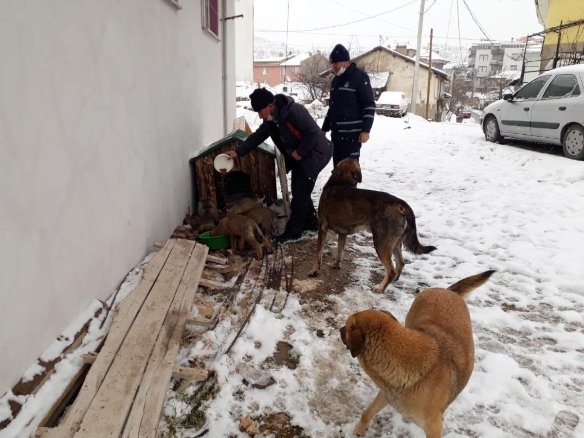 Emet Belediyesi&rsquo;nden sokak hayvanlarına su ve yiyecek desteği