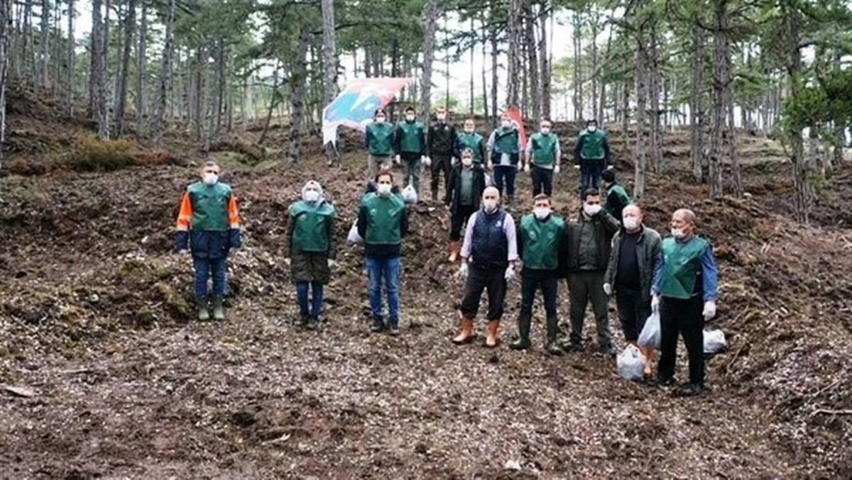 Domani&ccedil; Kara&ccedil;am tensil sahasına tohum takviyesi