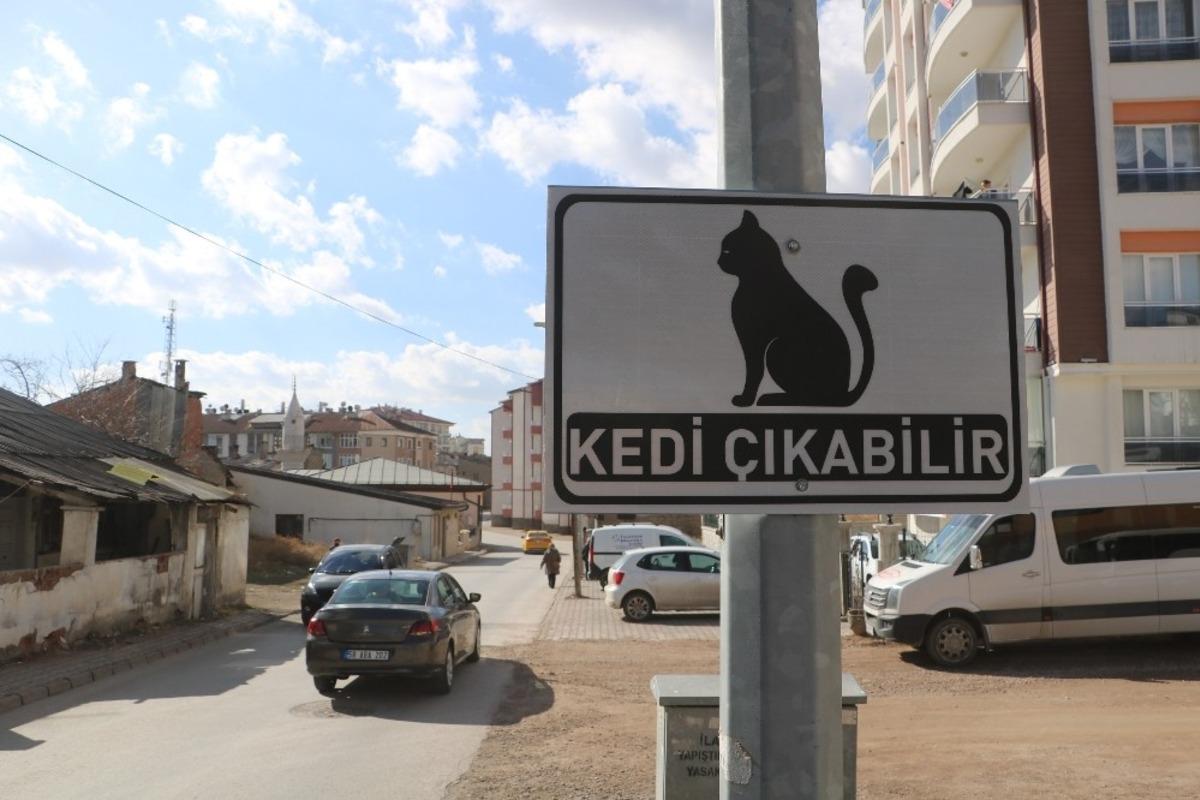 Dikkat kedi &ccedil;ıkabilir