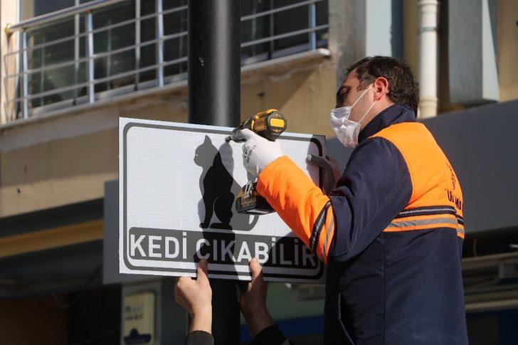 Dikkat kedi çıkabilir G2