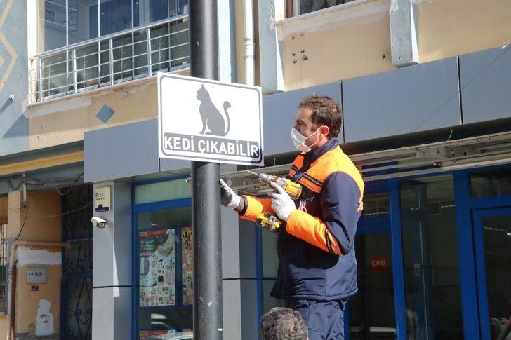 Dikkat kedi çıkabilir G3