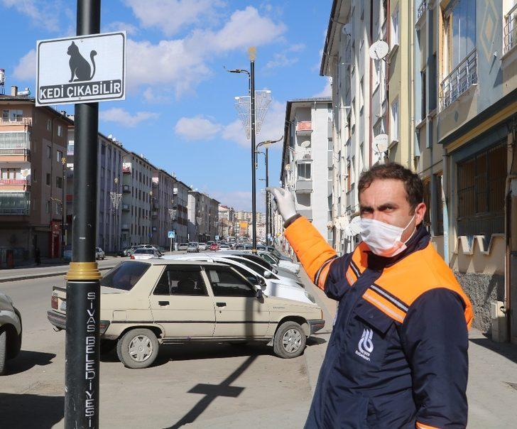 Dikkat kedi çıkabilir G4