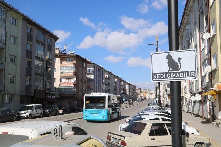 Dikkat kedi çıkabilir G5