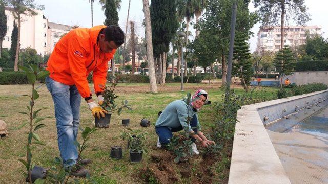 Doğasever kadın, çiçek eken büyükşehir personellerine yardım etti