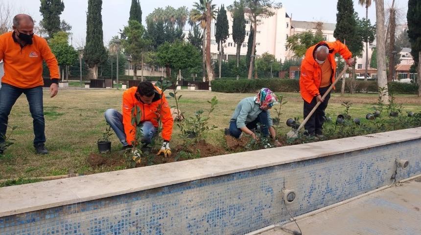 Doğasever kadın, çiçek eken büyükşehir personellerine yardım etti