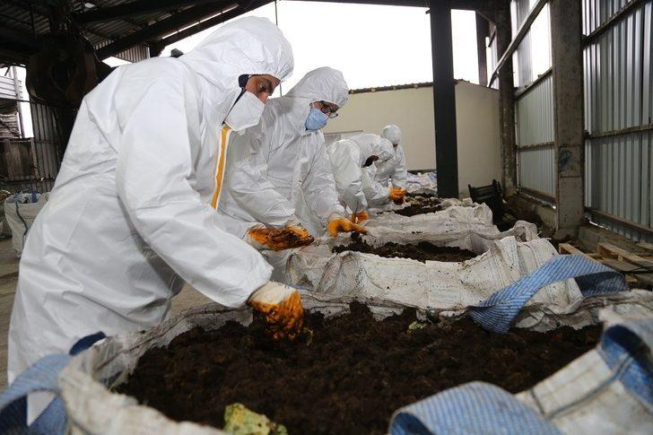 Ordu’da organik solucan gübresi atağı G3