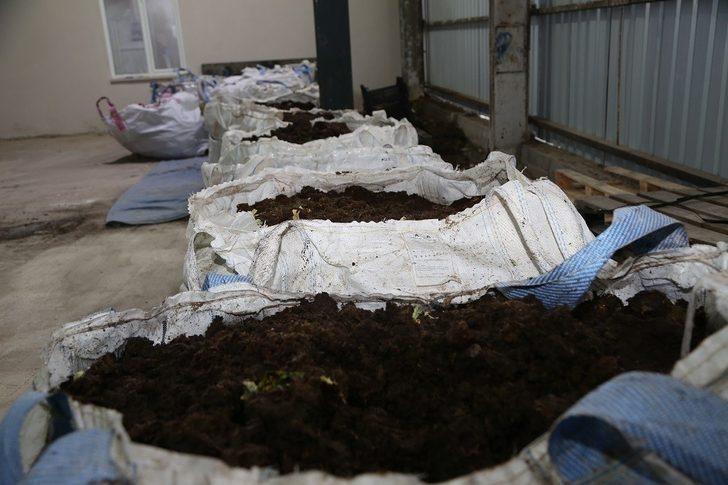 Ordu’da organik solucan gübresi atağı G4