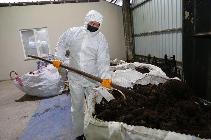 Ordu’da organik solucan gübresi atağı G5