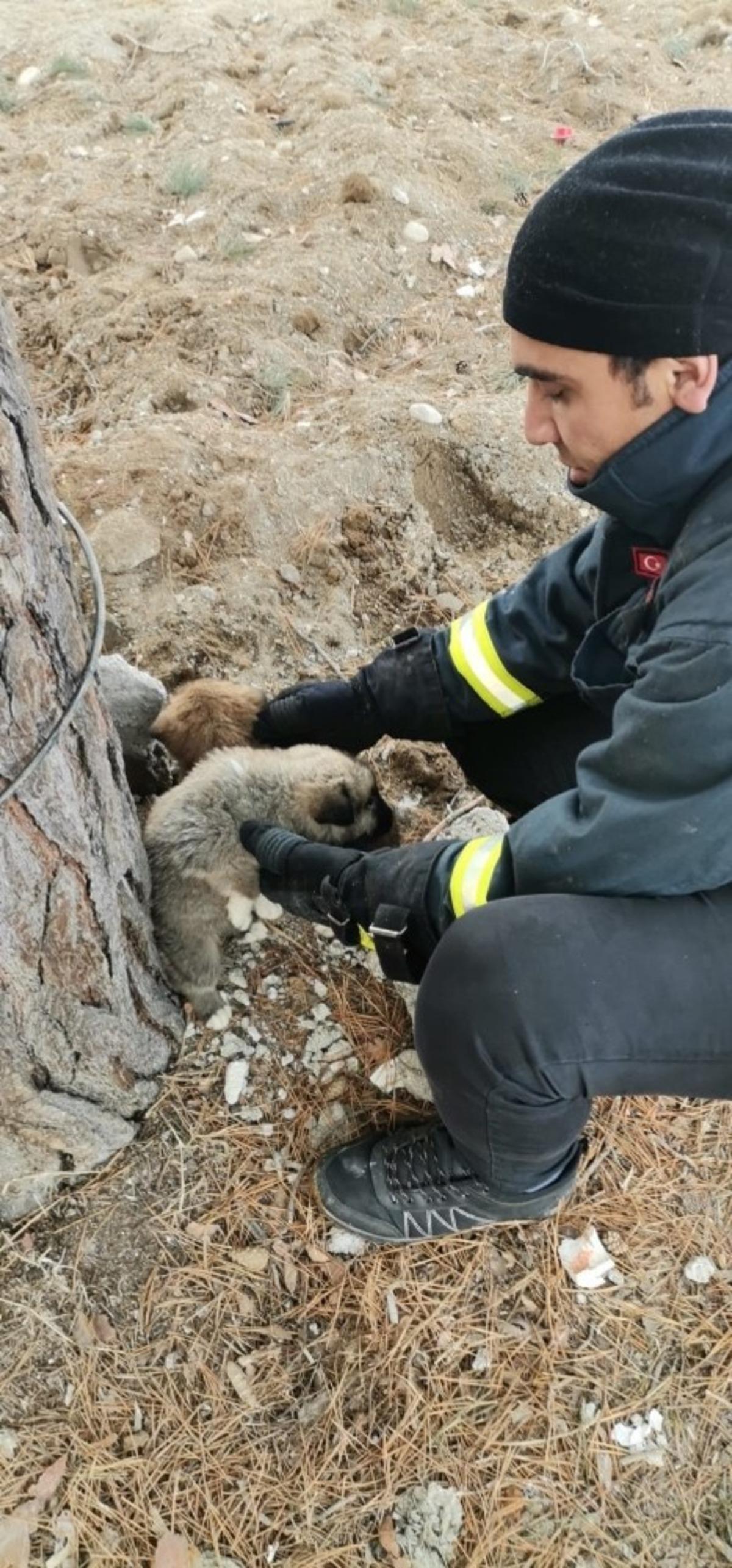 R&ouml;garda mahsur kalan yavru k&ouml;pek kurtarıldı