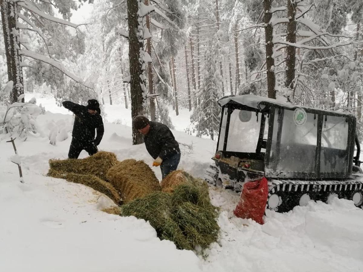 Yaban hayatına yem bırakıldı