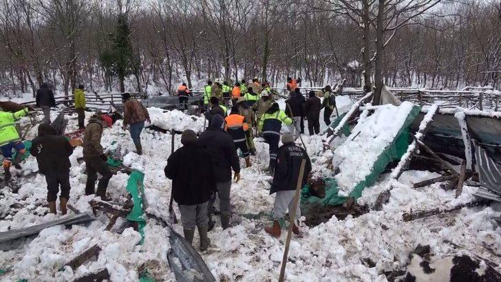 Şile’de kar nedeniyle ahırın çatısı çöktü, hayvanlar telef oldu G2