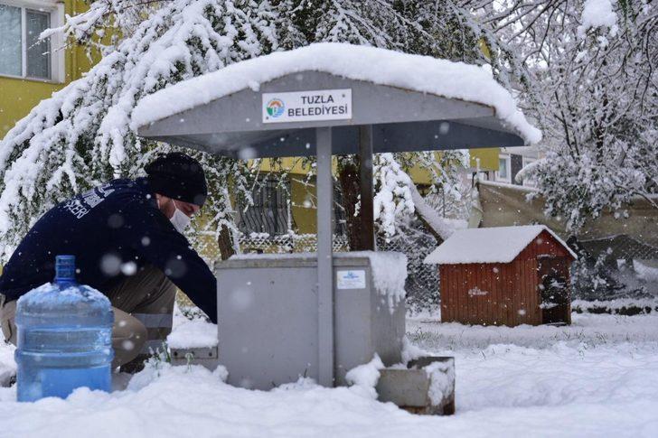Tuzla’da sokak hayvanları unutulmadı G2