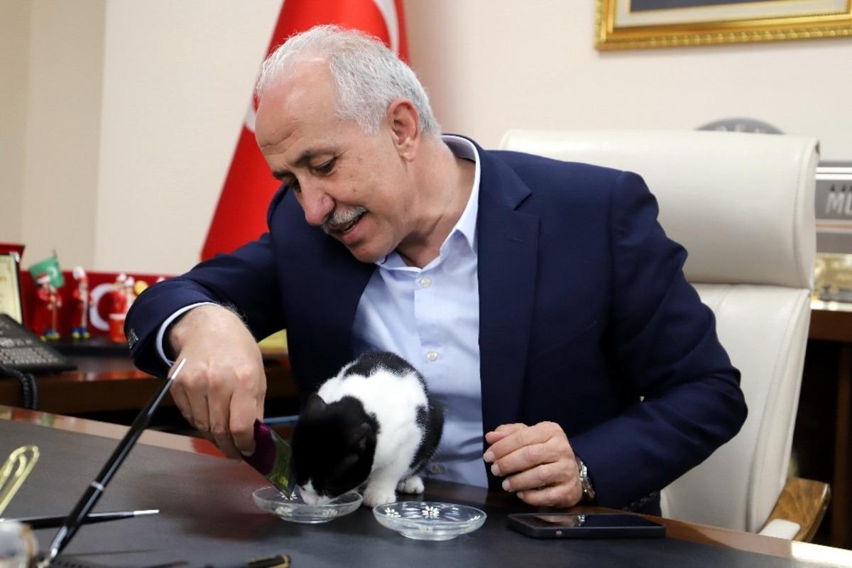 Başkan G&uuml;ltak, engelli kediyi misafir etti