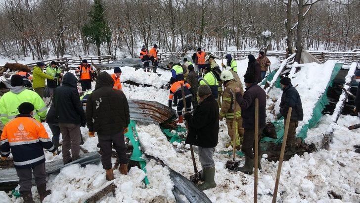 Şile’de kar nedeniyle ahırın çatısı çöktü, 10 hayvan telef oldu G4