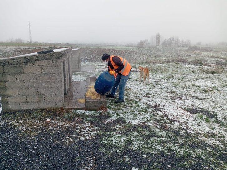 Bafra’da sokak hayvanları unutulmadı G3