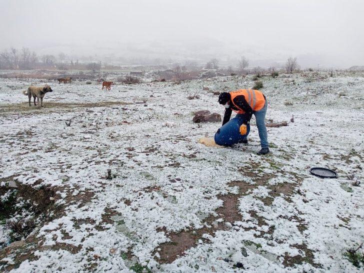 Bafra’da sokak hayvanları unutulmadı G4