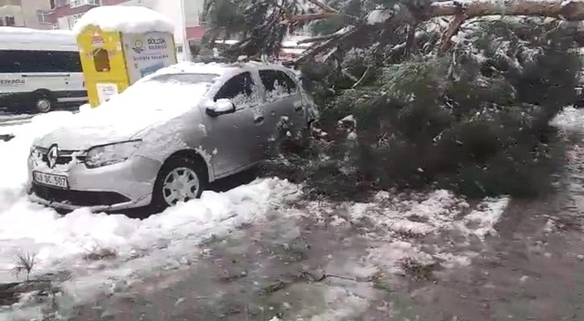 Karın ağırlığına dayanamayan ağa&ccedil; ara&ccedil;ların &uuml;zerine devrildi
