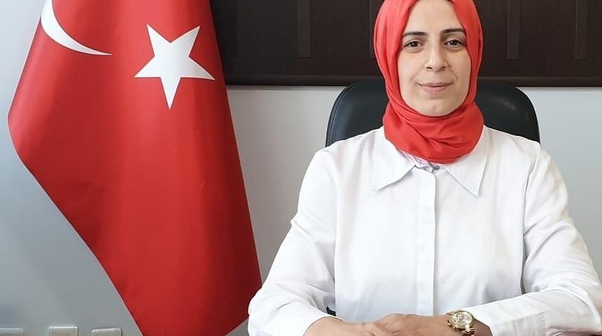 Sokak hayvanları i&ccedil;in yeni yaşam alanı &ouml;nerisi