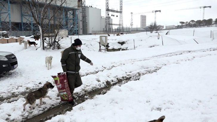 Esenyurt’ta can dostları yalnız bırakılmıyor G1