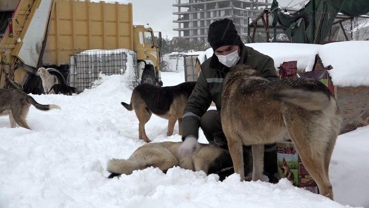 Esenyurt’ta can dostları yalnız bırakılmıyor G2