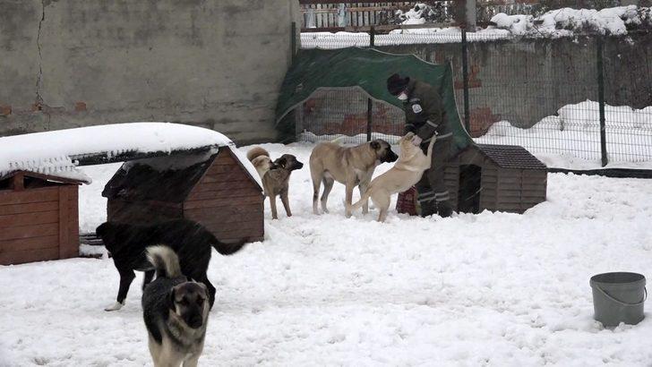 Esenyurt’ta can dostları yalnız bırakılmıyor G3