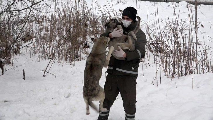Esenyurt’ta can dostları yalnız bırakılmıyor G4