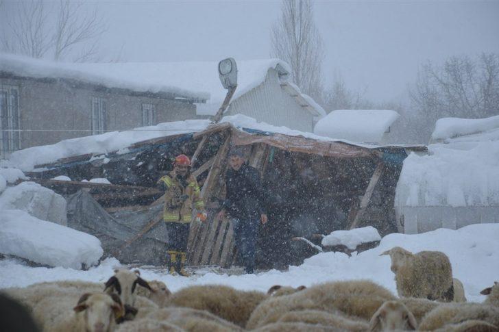 Bursa’da ahır göçtü, 150 koyun ve kuzu göçük altında kaldı G1