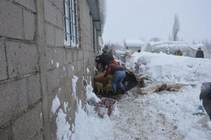 Bursa’da ahır göçtü, 150 koyun ve kuzu göçük altında kaldı G4