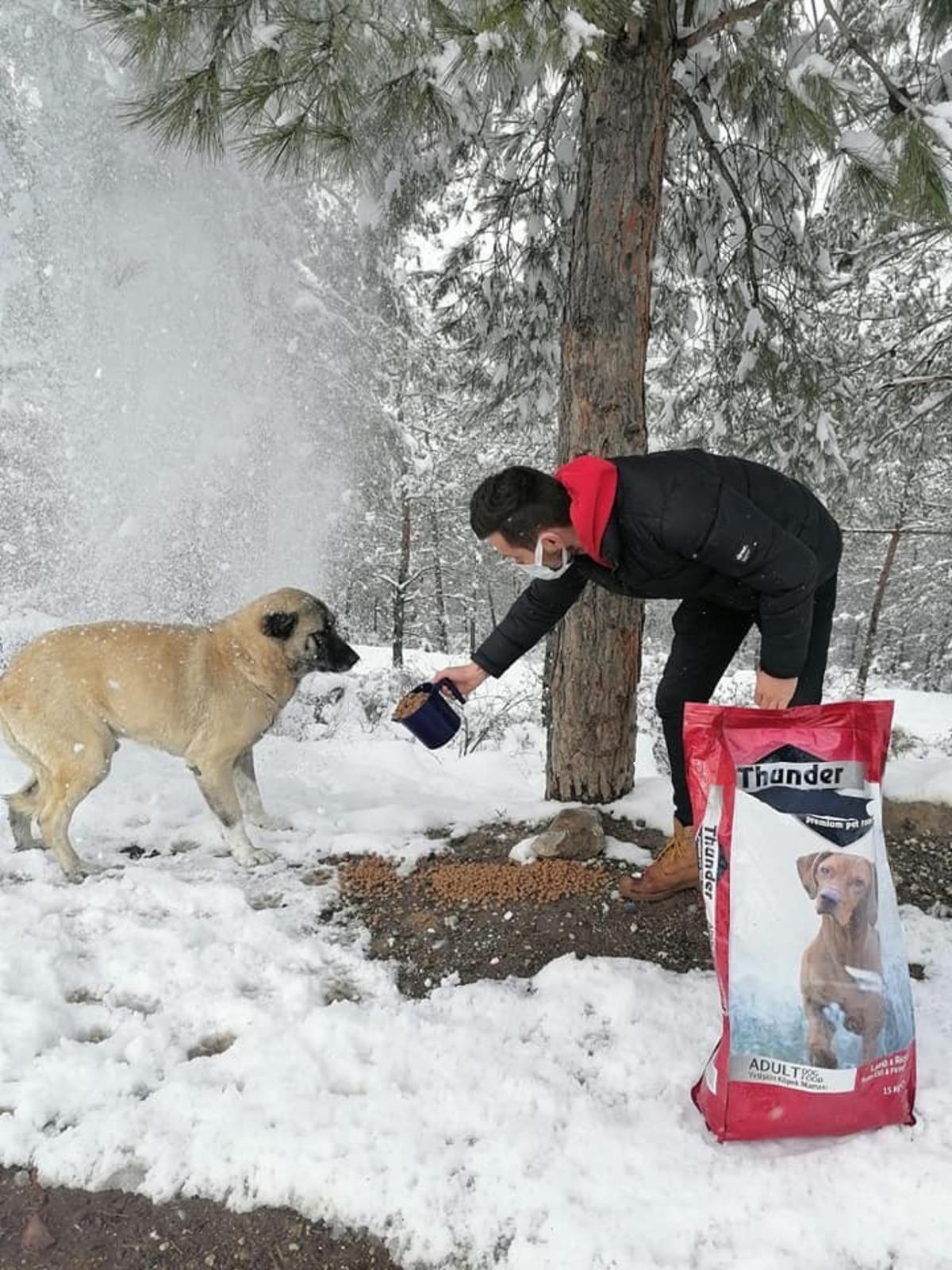 Osmaneli Belediyesi karlı havada sokak hayvanlarını unutmadı