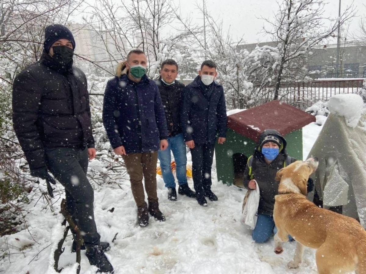 Sokak hayvanlarına kul&uuml;be desteği