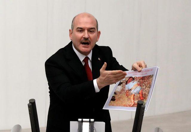 soylu1