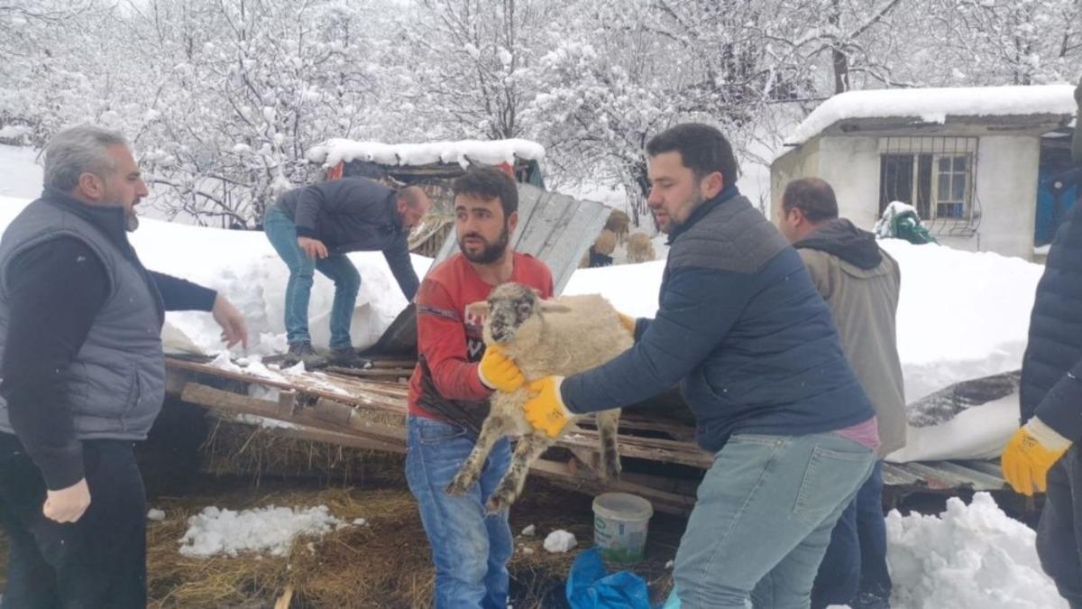 &Ccedil;&ouml;ken &ccedil;atı altındaki hayvanları kurtarmak i&ccedil;in zamanla yarıştılar