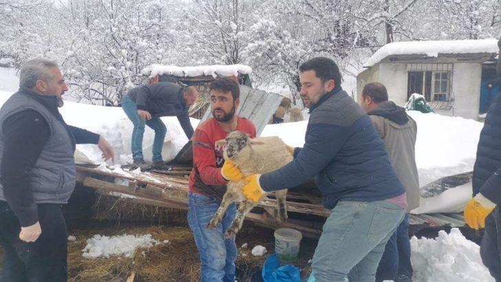 Çöken çatı altındaki hayvanları kurtarmak için zamanla yarıştılar G1