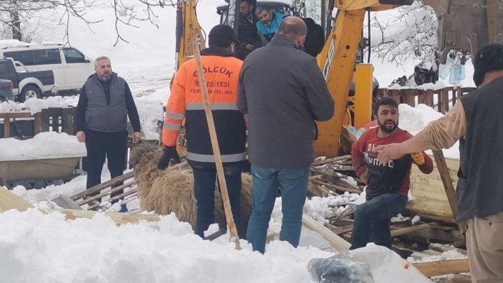Çöken çatı altındaki hayvanları kurtarmak için zamanla yarıştılar G4