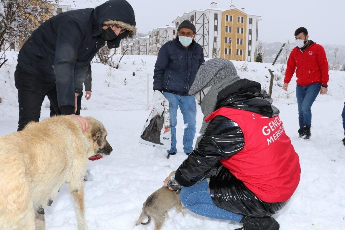 Karda kışta onların yanındalar